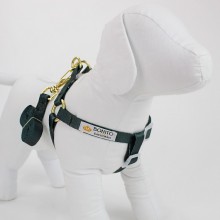 peitoral americano seda